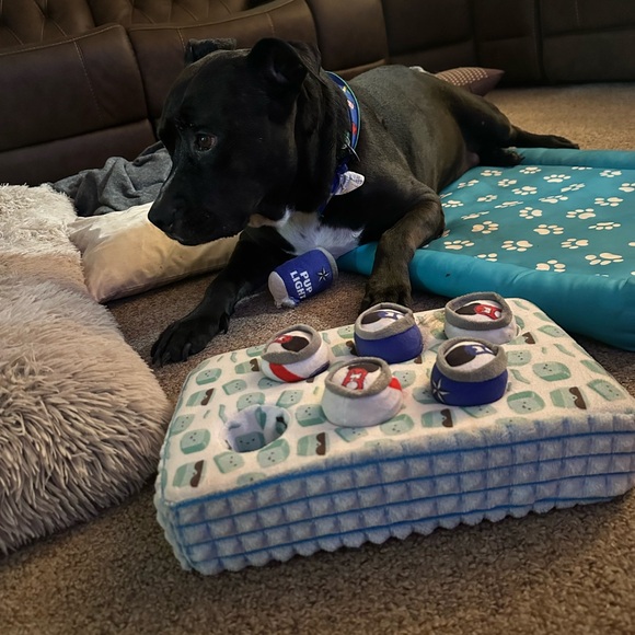 Meet your Posher, Melanie - Picture 6 of 11